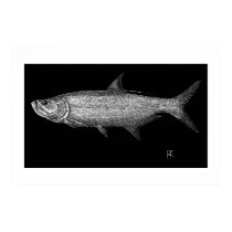 Tarpon Scratch art posters by hkfass Tarpon Scratch art posters