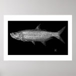 Tarpon Scratch art Posters