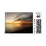 Tarpon Sky Postage Stamp