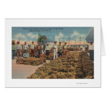 Tarpon Springs, FL - Scene of Sponge Exchange Greeting Cards