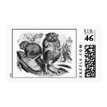 Tarsier postage