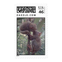 tarsier postage by wh0s_dat_girl tarsier postage