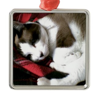tartan kitty snoozing away square metal christmas ornament