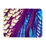Tartaric Acid Crystals Rectangle Magnets Tartaric Acid Crystals Rectangle Magnets