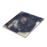 tasha four ceramic tile