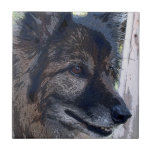 tasha three ceramic tile