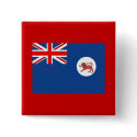 Tasmania Flag buttons