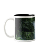 Tasmania, Mt. Field National Park, Russell Falls Coffee Mug