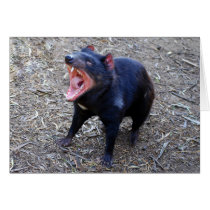 Tasmanian Devil Displaying His Vicious Yawn cards by catherinesherman Tasmanian Devil Displaying His Vicious Yawn cards