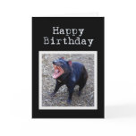 Tasmanian Devil Happy Birthday Greeting Card