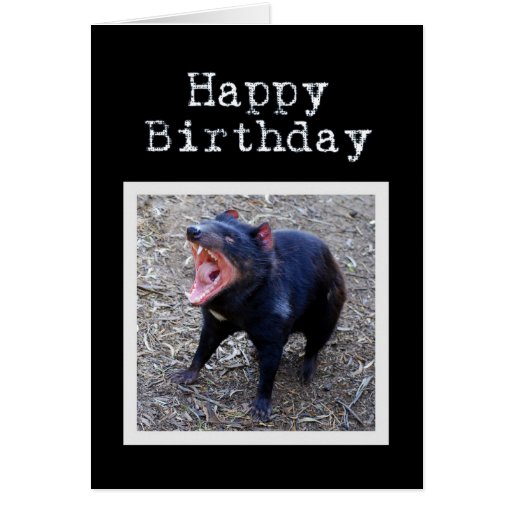 Tasmanian Devil Happy Birthday Card | Zazzle