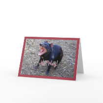 Tasmanian Devil Happy Birthday Greeting Card by catherinesherman Tasmanian Devil Happy Birthday Greeting Card