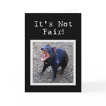 Tasmanian Devil Happy Birthday Humor Greeting Card