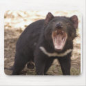 Tasmanian Devil mousepads