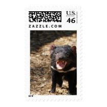 Tasmanian Devil Postage
