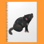 Tasmanian Devil notebooks