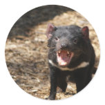 Tasmanian Devil Stickers