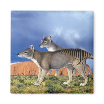 Tasmanian Tiger Magnet