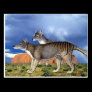 Tasmanian Tiger Postcards