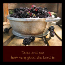 Taste And See How Very Good The Lord Is posters