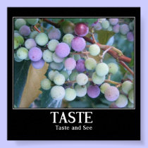 Taste and See posters