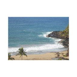 Taste of Hawaii wrappedcanvas