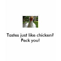Tastes just like chicken? Peck you! t-shirts by mamabear23 Tastes just like chicken? Peck you! t-shirts