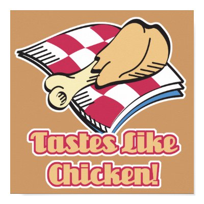 Fried chicken drumstick on a picnic blanket with saying: Tastes like chicken 