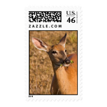 Tasty Snack Postage Stamp