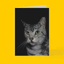 TAT CAT cards