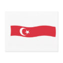 Tatars of Belarus Flag Postcard by livingflags Tatars of Belarus Flag Postcard
