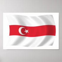 Tatars of Belarus Flag Poster Print