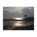 Tateishi Park postcards