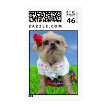 Tator in Mexico Stamps