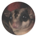 tattoed sugar glider stickers
