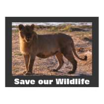 Tau Save Our Wildlife Poster