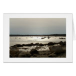 Taunton Bay Afternoon at Ebb Tide Zazzle Card