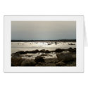 Taunton Bay Afternoon at Ebb Tide Zazzle Card by awhitelaw Taunton Bay Afternoon at Ebb Tide Zazzle Card