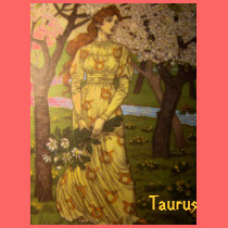 "Taurus" Astrology Sign Woman's Shirt