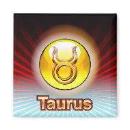 TAURUS Magnet magnet