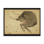 Taurus Post Cards