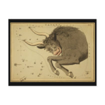 Taurus postcards
