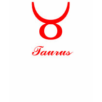 Taurus T-Shirt