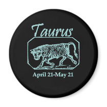 Taurus Teal magnets