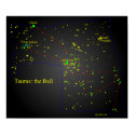 Taurus the Bull constellation posters
