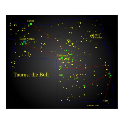 Taurus the Bull constellation Posters by cwyong