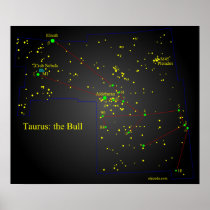 Taurus the Bull constellation Posters