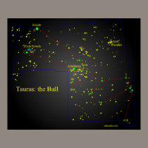 Taurus the Bull constellation posters
