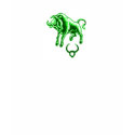 Taurus t-shirts