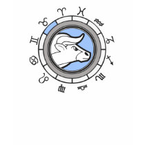TAURUS Zodiac Astrology Sign t-shirts